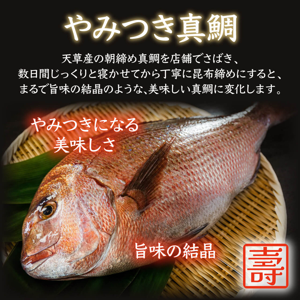 【コトブキウミサチコラボ】コトブキ海鮮丼&KIWAKOTO 器のBOTAN 水(青磁) とTSUBAKI霙(白結晶)  セット